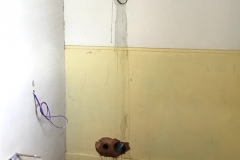 15 accessible toilet